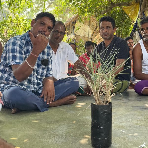 Tandahar Leads Community-Driven Coastal Restoration in Astaranga, Puri
